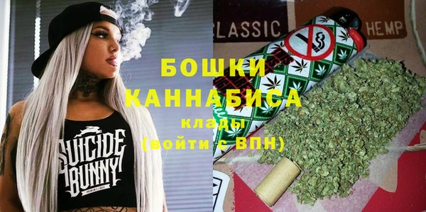 прущие грибы Белокуриха