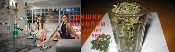 шишки Белоозёрский