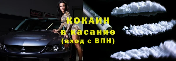 прущие грибы Белокуриха