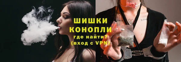 прущие грибы Белокуриха