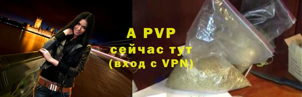 шишки Белоозёрский