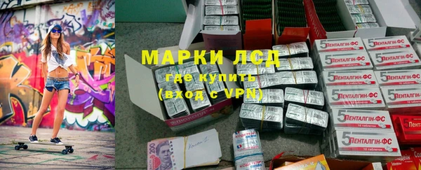 шишки Белоозёрский