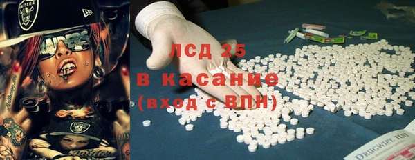 шишки Белоозёрский