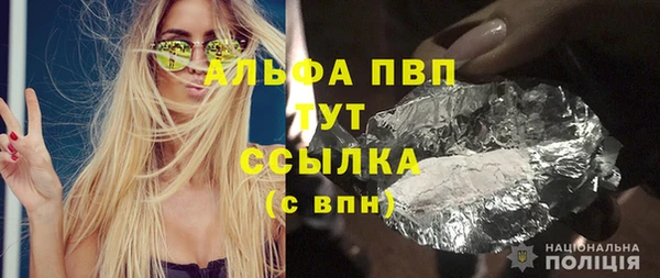 шишки Белоозёрский