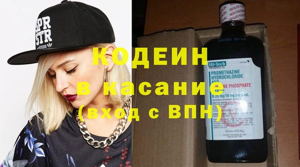 шишки Белоозёрский
