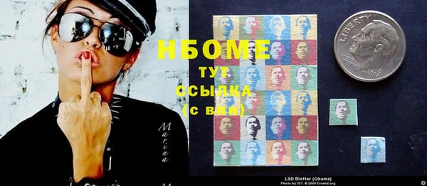 прущие грибы Белокуриха