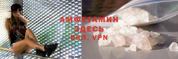 прущие грибы Белокуриха