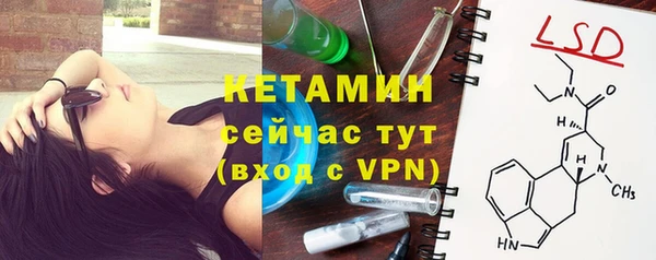 прущие грибы Белокуриха