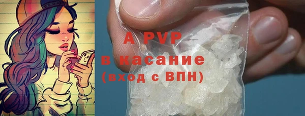 шишки Белоозёрский